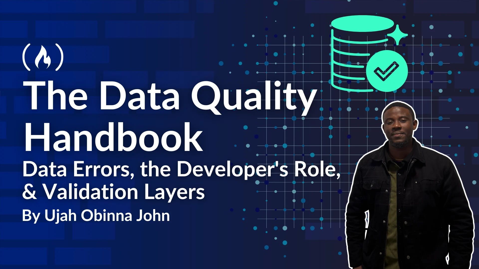 The Data Quality Handbook: Data Errors, the Developer's Role, and Validation Layers Explained.