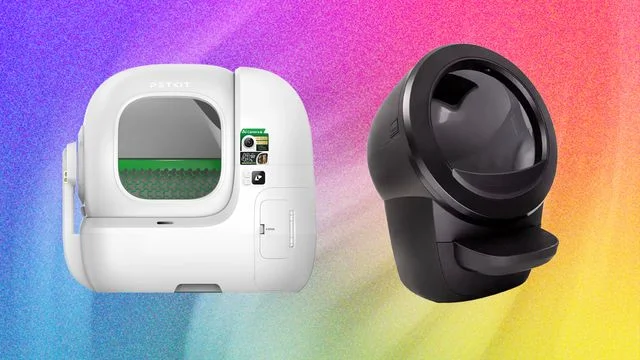 The Best Automatic Litter Boxes Tested by Our Spoiled Cats