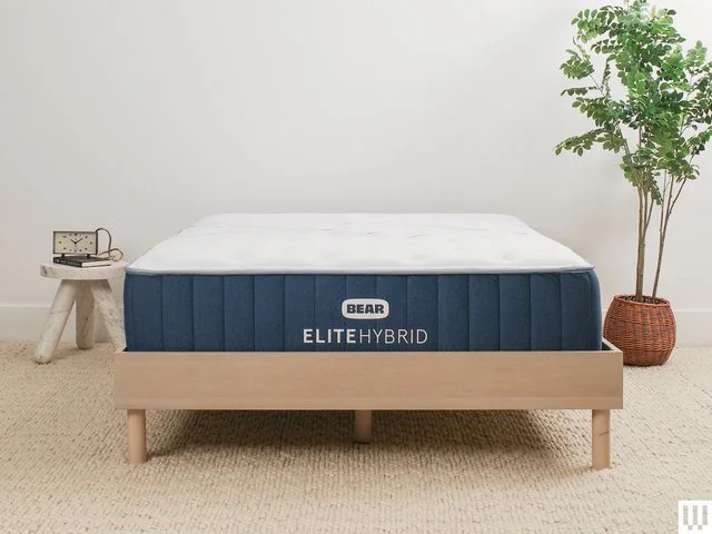 Bear Elite Hybrid a white side sleeper mattress with blue trim on a minimalist wooden frame with a nightstand and potted...